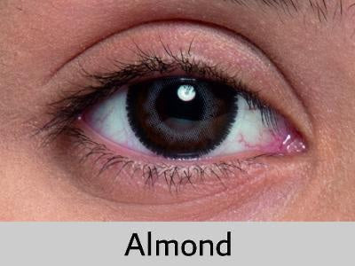 Almond - Customized